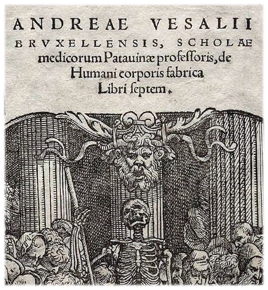 Andreas Vesalius: De humani corporis fabrica libri septem (Basel 1543) - Frontispiz
